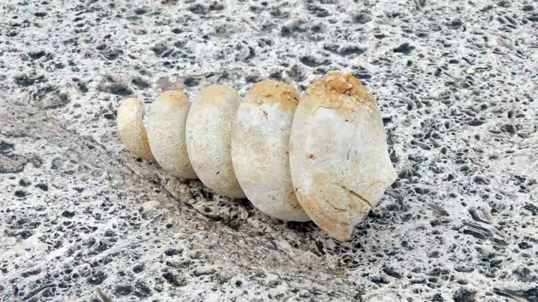 İstanbul'un o ilçesinin zemininin zayıf olduğunun en somut göstergesi! Prof. Dr. Şener Üşümezsoy'dan korkutan uyarı 13